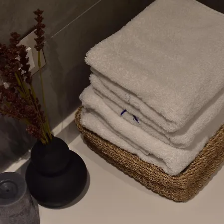 Tam Serviced Mozart Center Apartamento *